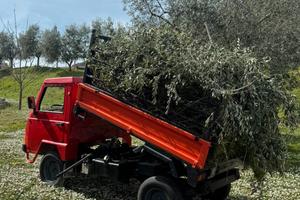 Motoagricola Mariniello Diana 4x4