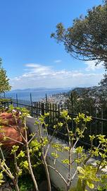 Bilocale annuale Casamicciola