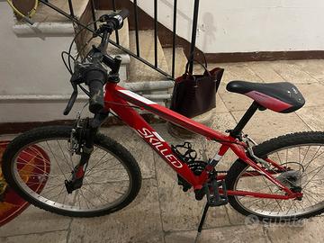 Bicicletta