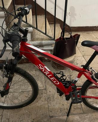 Bicicletta