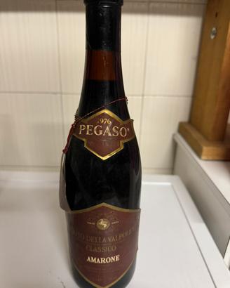 Amarone valpolicella x collezione