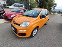 fiat-panda-1-0-firefly-s-s-hybrid