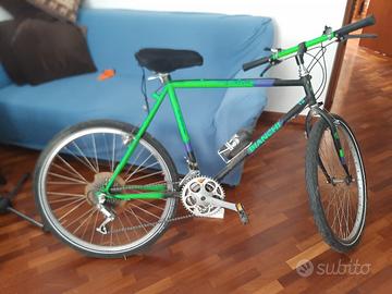 bicicletta mountain bike