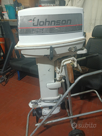 Motore fuoribordo Johnson 25/35