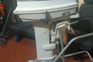 Motore fuoribordo Johnson 25/35