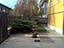 Immagine 4