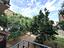 Immagine 13