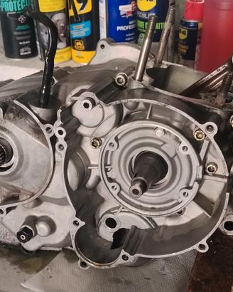 Rotax 123 REVISIONATO, leggere bene la descrizione