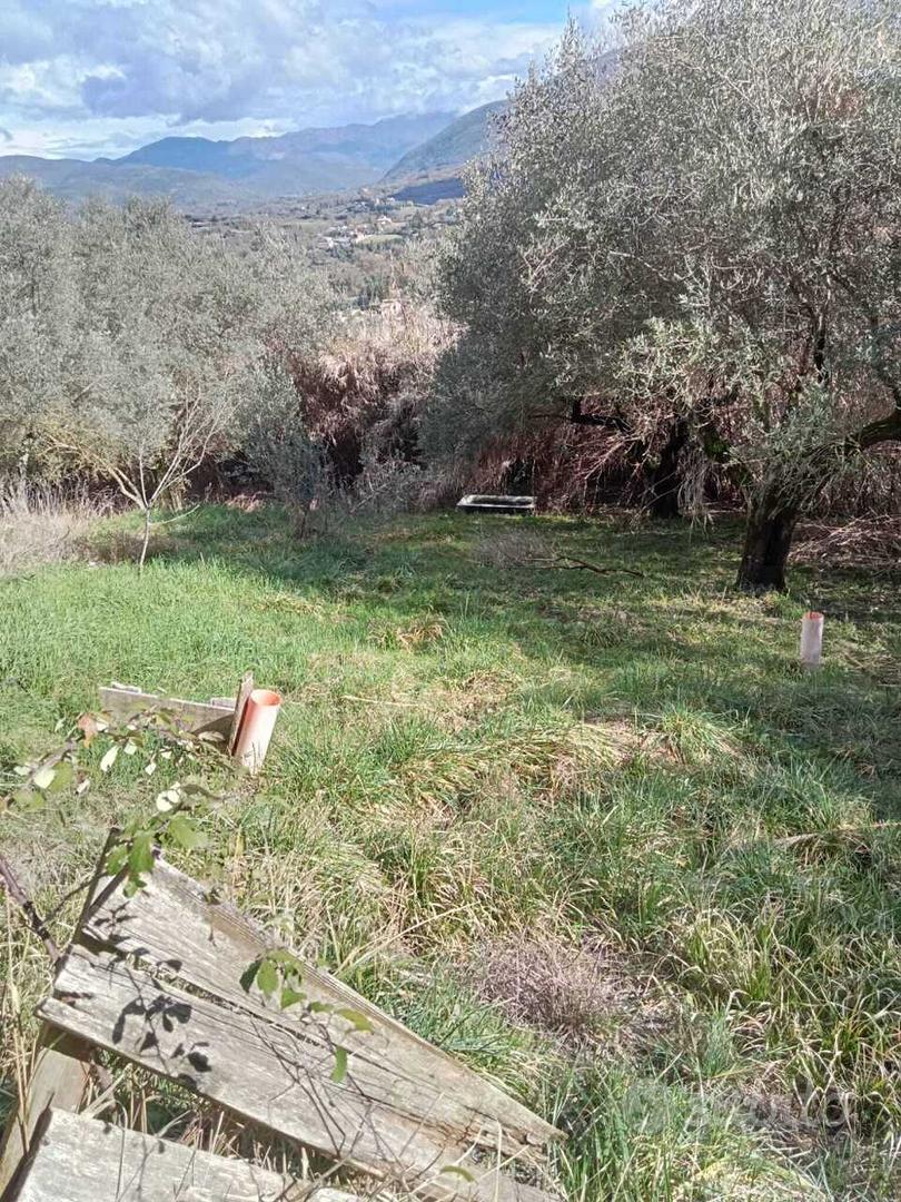 Agricolo a Tivoli - Vista 4
