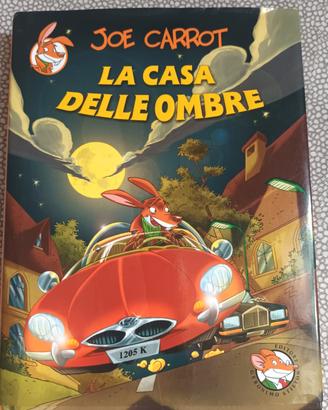 Libro '  la casa delle ombre" 