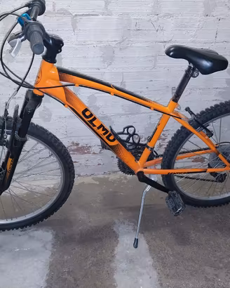 Bicicletta Olmo 9-12 anni