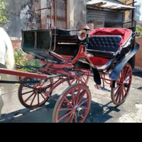 Carrozza stile vittoria