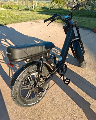 bicicletta elettrica 