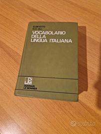 Dizionario italiano