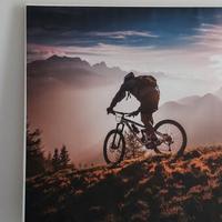 Canvas 90x60 mountain bike