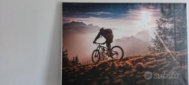 Canvas 90x60 mountain bike