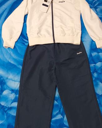 Tuta diadora