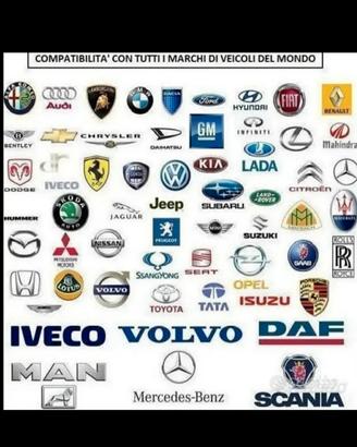 Diagnostica auto
