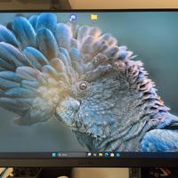 MSI Monitor Gaming 27’’ FHD IPS (1920x1080) 170Hz