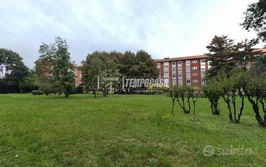 TRILOCALE RISTRUTTURATO E LUMINOSO IN CONTESTO VER