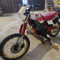 Xt 600 43f 1984