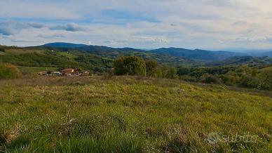 TERRENO AGRICOLO 66600 mq a 16 km da Assisi