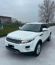 LAND ROVER Range Rover Evoque 2.2 TD4 5p. Pure