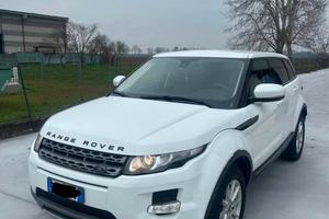 LAND ROVER Range Rover Evoque 2.2 TD4 5p. Pure