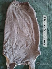 Tuta post operatoria