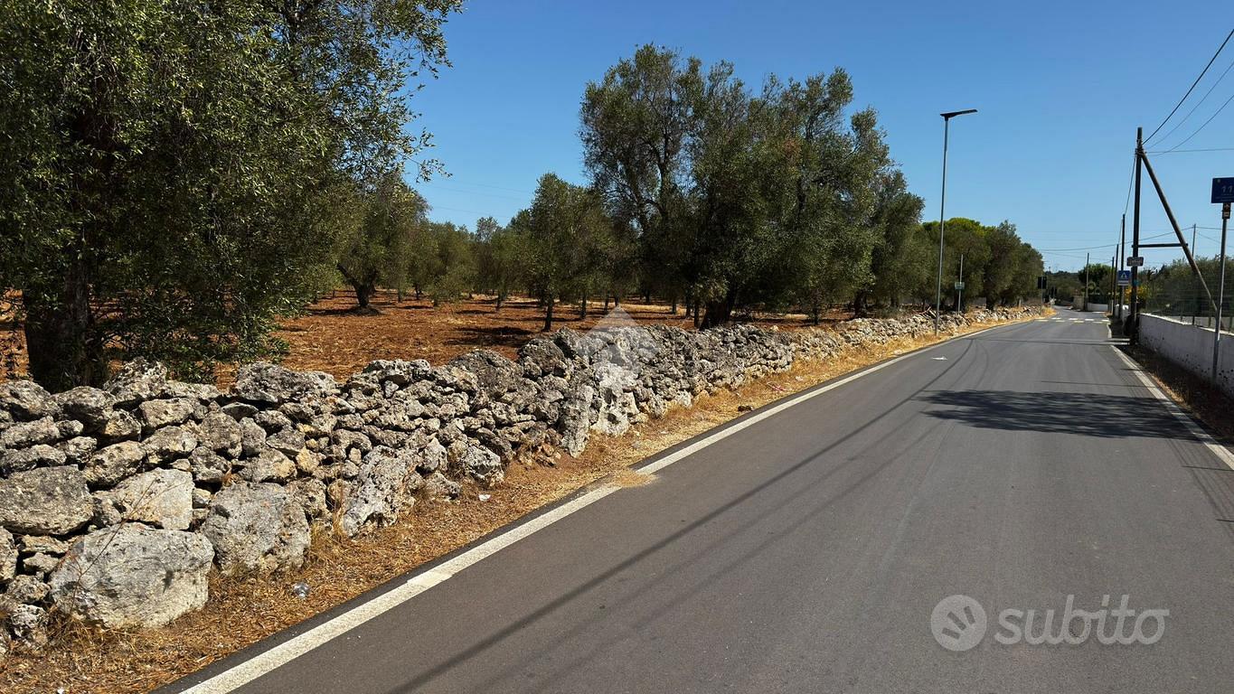 TER. AGRICOLO A GROTTAGLIE - Vista 5