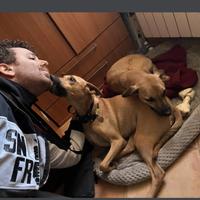 Pet Sitter Marano, Napoli e Provincia