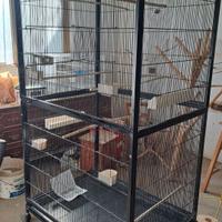 Voliera molto grande