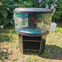acquario curvo 130l