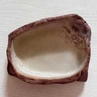 Ciotola acqua