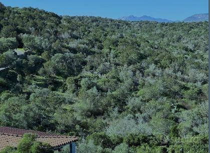 Immobile in asta di 12390 m² a Olbia - Altro