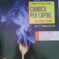 Chimica per capire 9788800220156