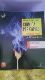 Chimica per capire 9788800220156