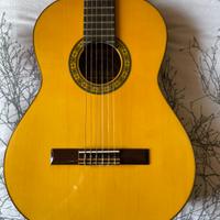 Chitarra Privada P-7