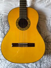 Chitarra Privada P-7