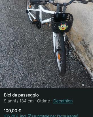 Bici da passeggio