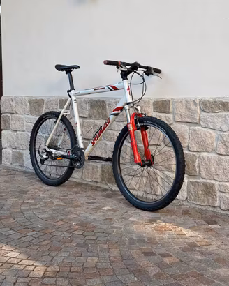 MTB Specialized Rockhopper L/XL