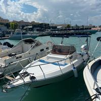 Barca 750 walkaround ,aquamamar 750 WA optimax 175