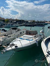 Barca 750 walkaround ,aquamamar 750 WA optimax 175