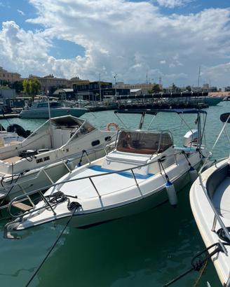 Barca 750 walkaround ,aquamamar 750 WA optimax 175