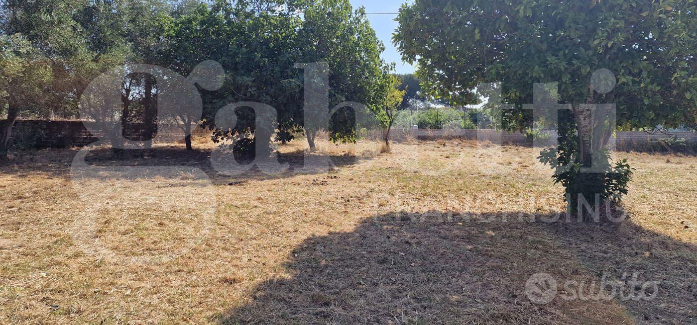 Terreno Agricolo Nettuno [Cod. rif ROCCA PRIORVCG] - View 5
