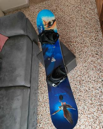tavola snowboard  157  Falcon 
