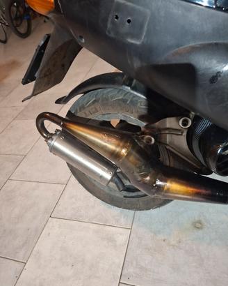 leovinci hand made r per piaggio