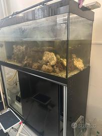 Acquario x dolce e marino