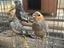 Immagine 2