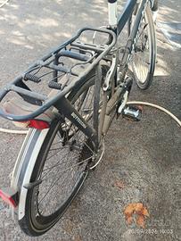 bottecchia